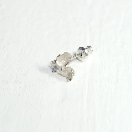 "hydrangea pierce" wh small