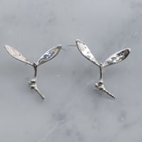 "SEED" ヤドリギ ピアス