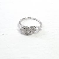 "auri ring" wh small