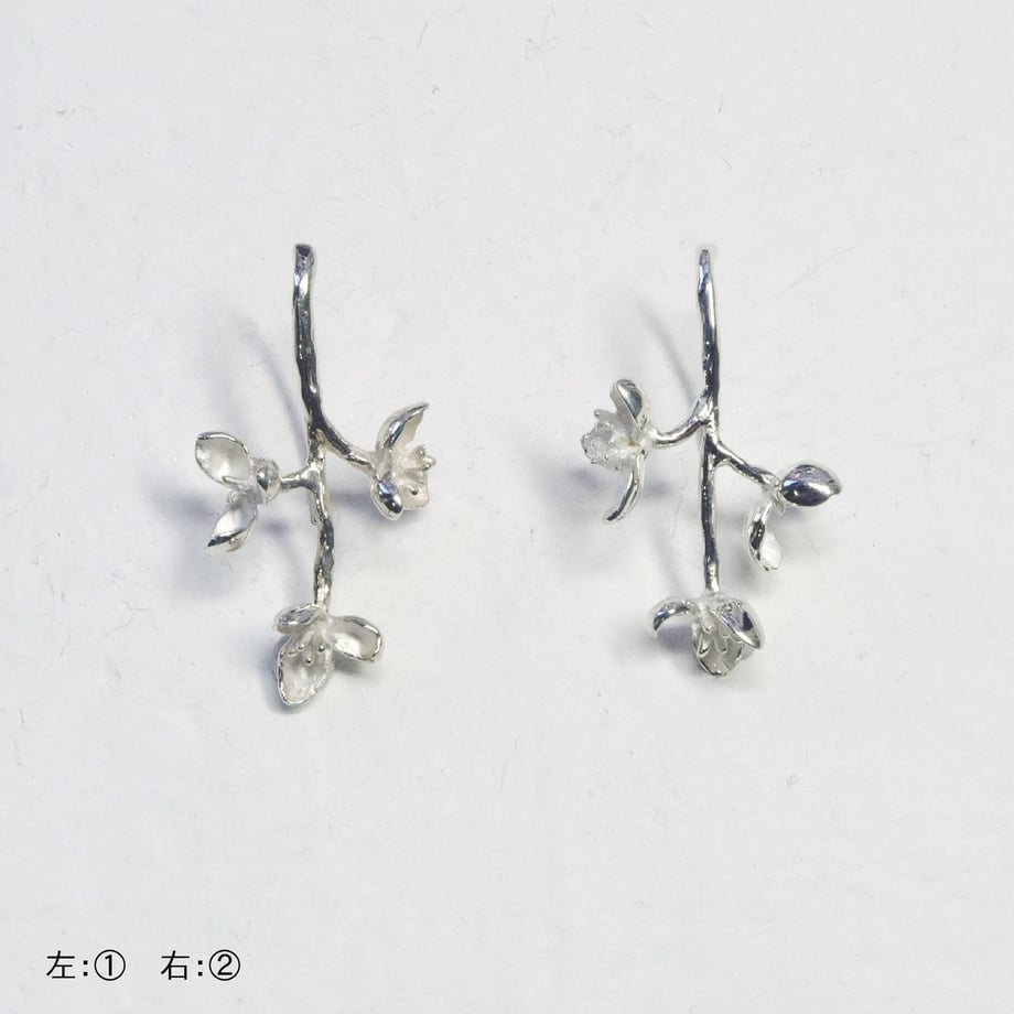 576dfae200d331254a004099