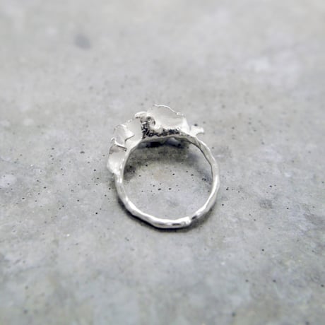 "auri ring" wh small