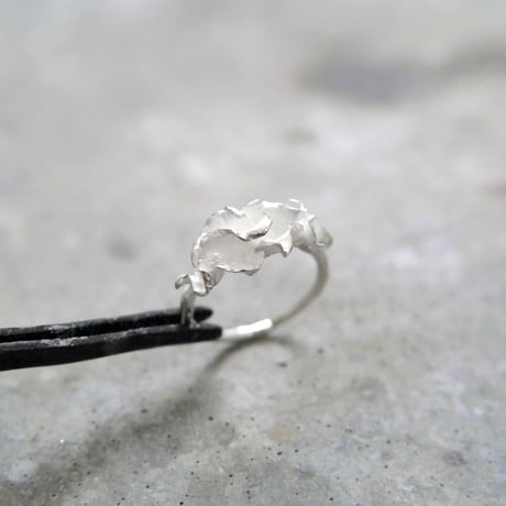 "auri ring" wh small