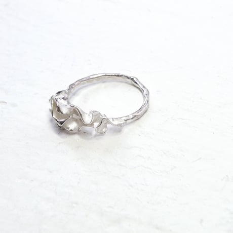 "auri ring" wh small