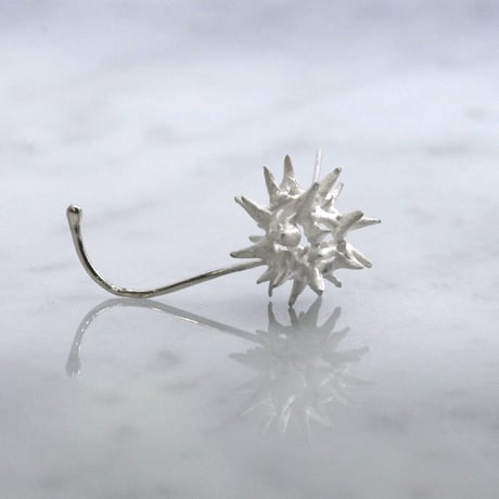 "SEED" モミジバフウ ピアス