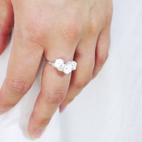 "poppy ring" wh