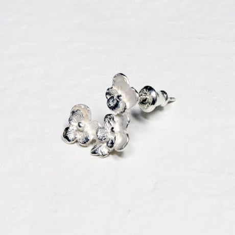 "pansy pierce" wh ①/②