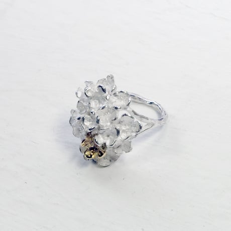 "hydrangea ring"