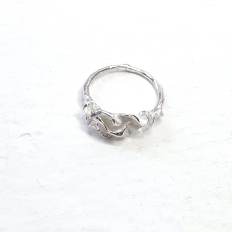 "auri ring" wh small