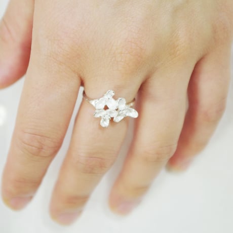 "akebia ring" wh