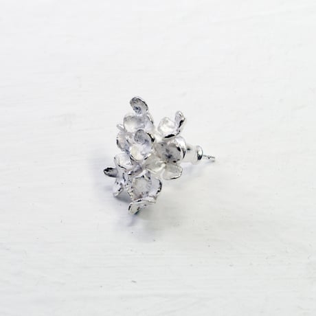 "hydrangea pierce" wh large