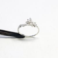 acacia ring