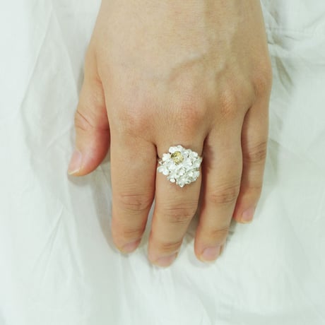 "hydrangea ring"