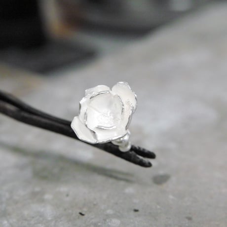 "silver moon pierce" 7分咲き