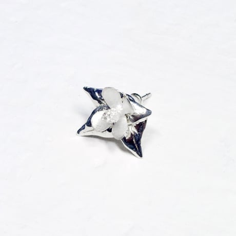 "cordata pierce" wh/sv