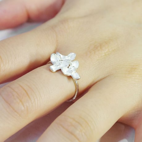 "akebia ring" wh