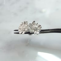"Harujion pierced" 7分咲き wh