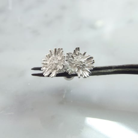 "Harujion pierced" 7分咲き wh