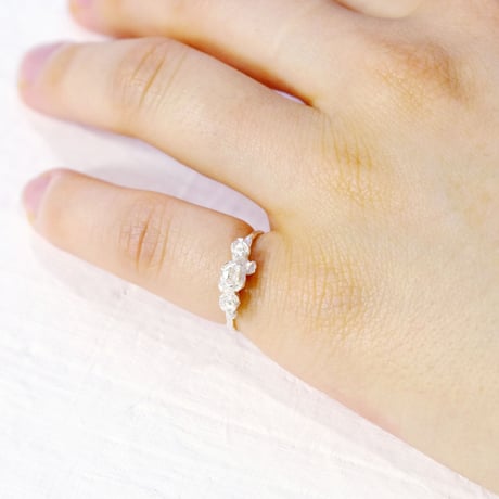 "raub ring"