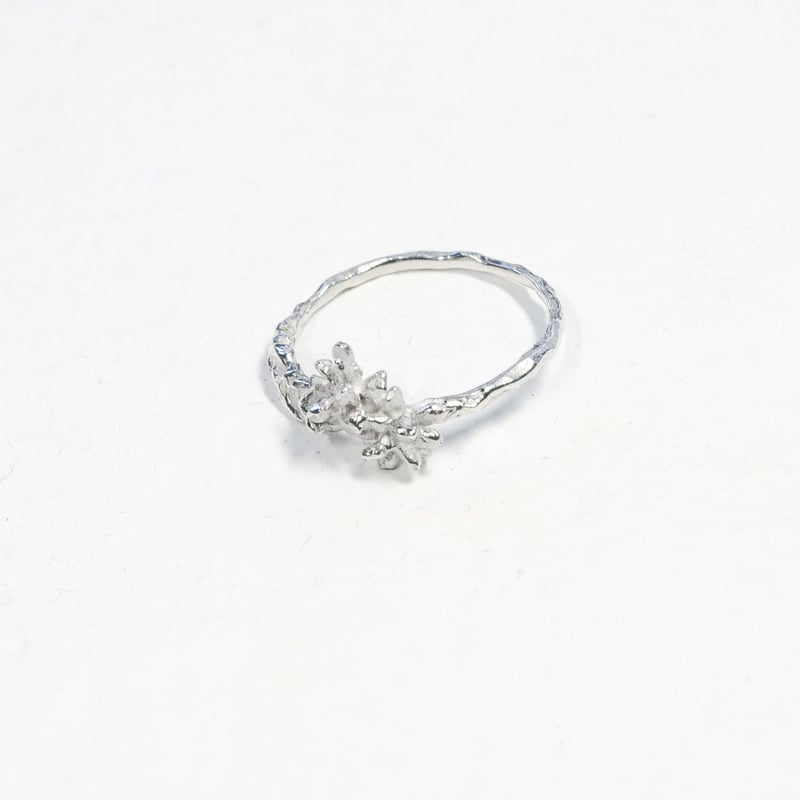 acacia ring | Fillyjonk ONLINE STORE acacia ring | Fillyjonk ONLINE STORE