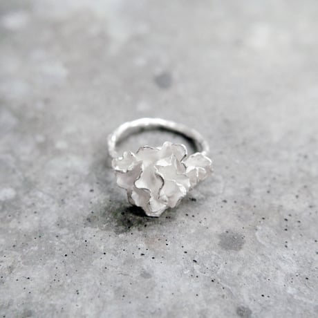"auri ring" wh large
