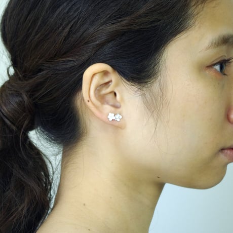 "flaccida pierce" wh/sv