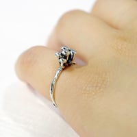 "marmo ring" bk/wh small