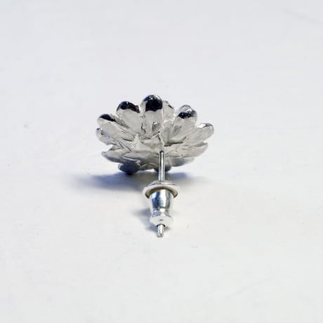 "shirobana pierced"