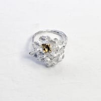 "hydrangea ring"