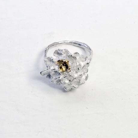 "hydrangea ring"