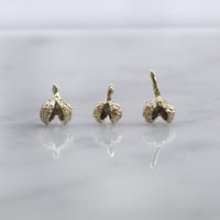 "Kasho (Sichuan pepper) pierced" K10