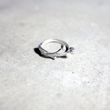 "flammulina ring" bk/wh