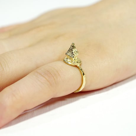 "archi ring" gold 01/03/10