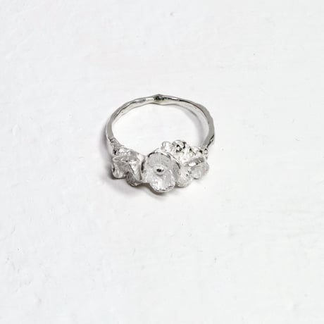 "poppy ring" wh