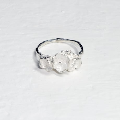 "poppy ring" wh