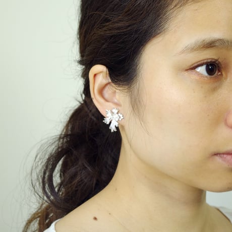 "flaccida pierce" wh/sv
