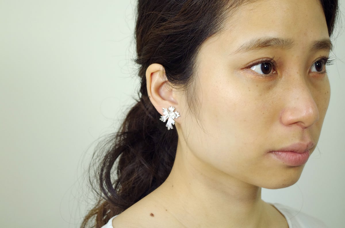 flaccida pierce