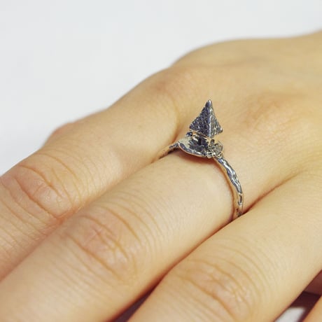 "archi ring" bk 01/03/10