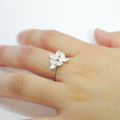 "akebia ring" wh