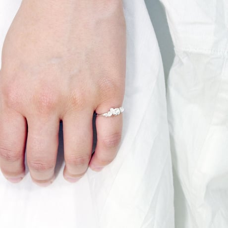 "raub ring"