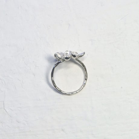 "akebia ring" wh