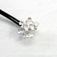 "hydrangea pierce" wh large