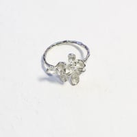 "akebia ring" wh