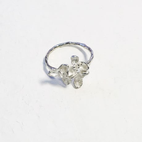 "akebia ring" wh