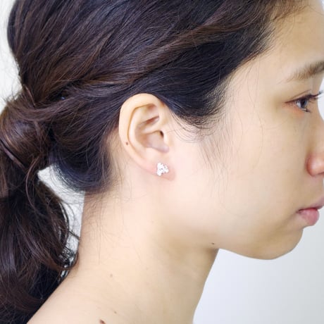 "hydrangea pierce" wh small