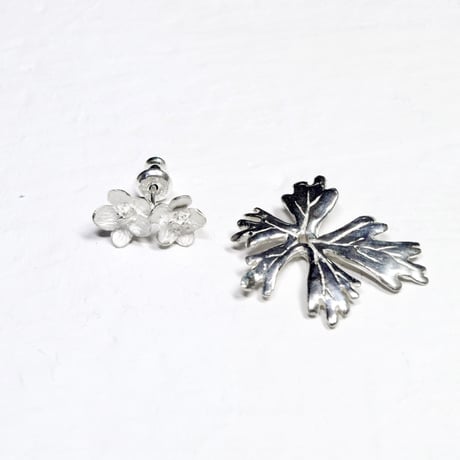 "flaccida pierce" wh/sv