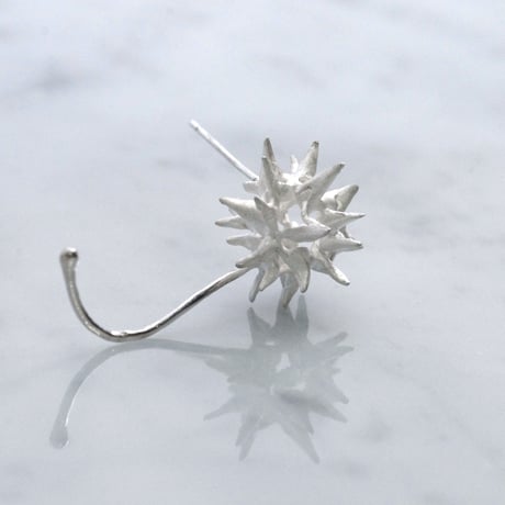 "SEED" モミジバフウ ピアス