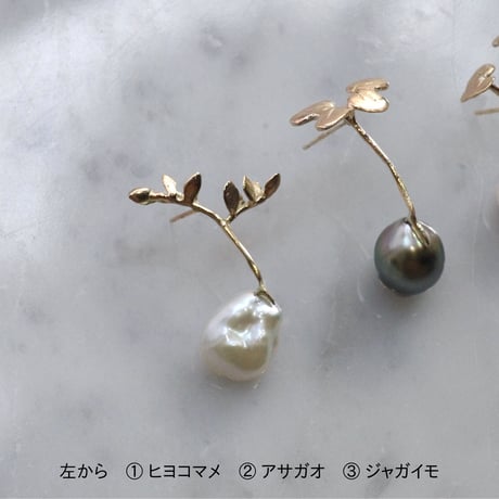 "sprout" ヒヨコマメ/アサガオ/ジャガイモ  ピアス