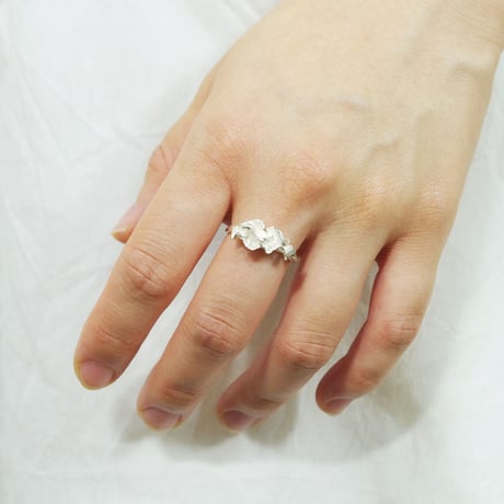 "auri ring" wh small