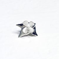 "cordata pierce" wh/sv