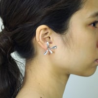 "gnaph pierce" sv